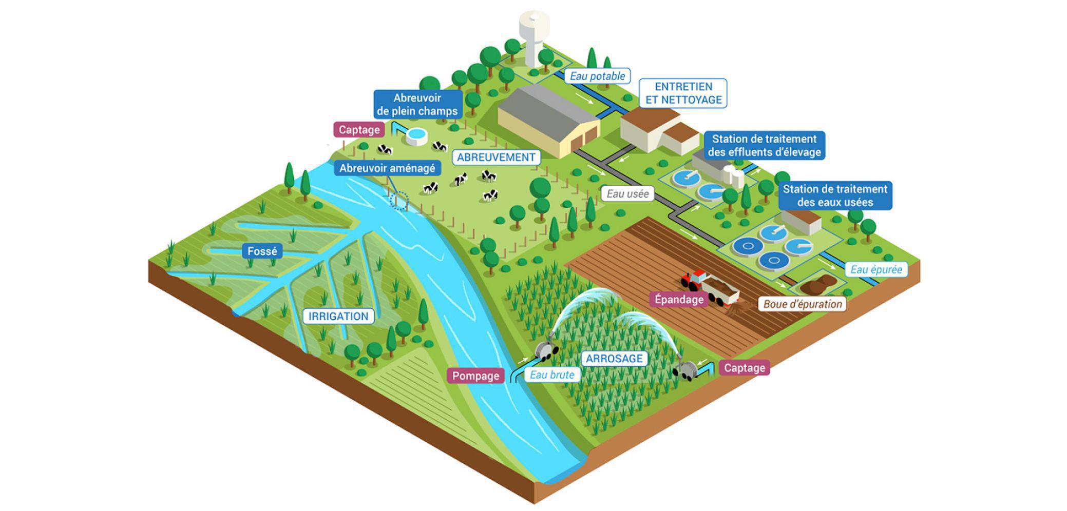 cycle-de-l-eau-exploitation-agricole