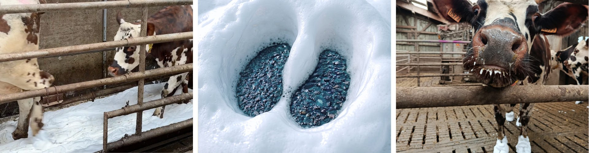 Digimousse