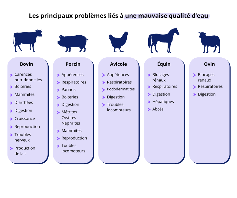 Pb santé lié à une mauvaise qualité d'eau