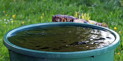 Sécheresse : comment garantir la disponibilité de l’eau dans votre élevage ?