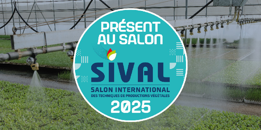 sival-2025