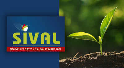 sival-2022-report-vignette